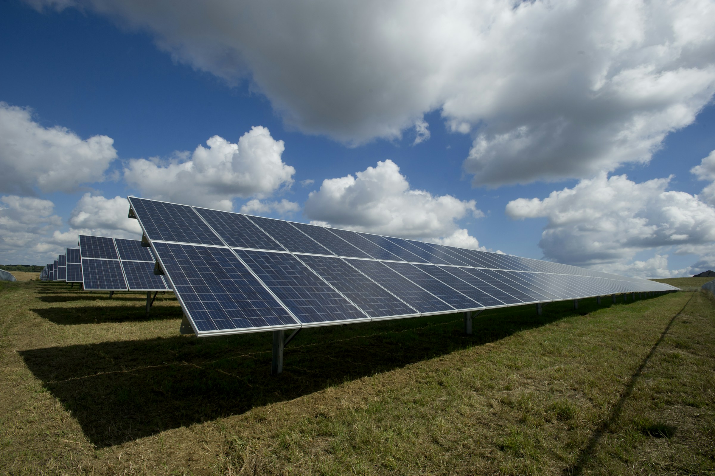 Green Jobs Surge 2025: NextEra, Tesla, Siemens Gamesa